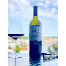 Load image into Gallery viewer, Malbec Icon Plaza De Grillos 75cl Plaza De Grillos