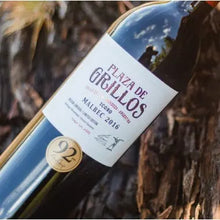 Load image into Gallery viewer, Malbec Icon Plaza De Grillos 75cl Plaza De Grillos
